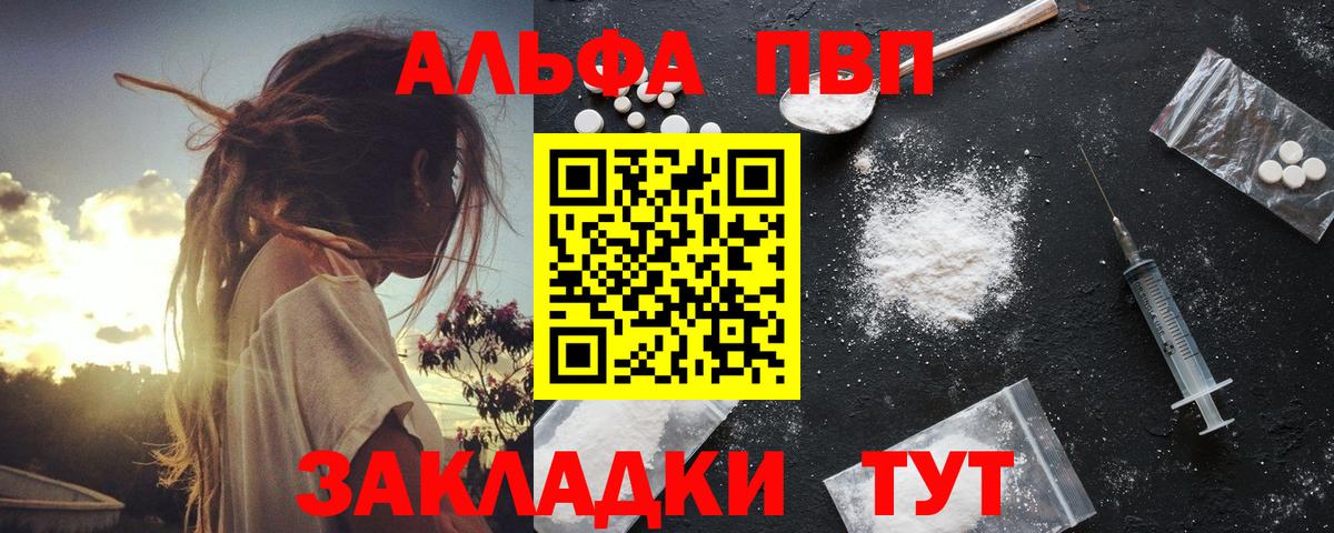 A PVP СК Новомосковск