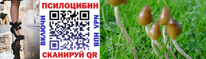 Псилоцибиновые грибы Psilocybe  цены наркотик  Новомосковск 