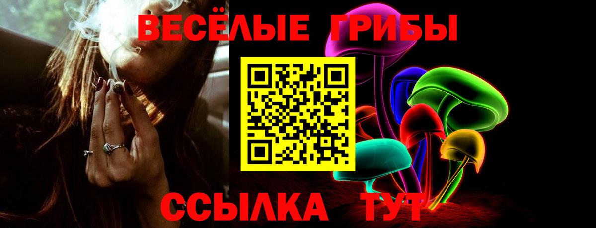Галлюциногенные грибы мицелий  Псилоцибиновые грибы Psilocybe  Новомосковск  Вход с VPN 