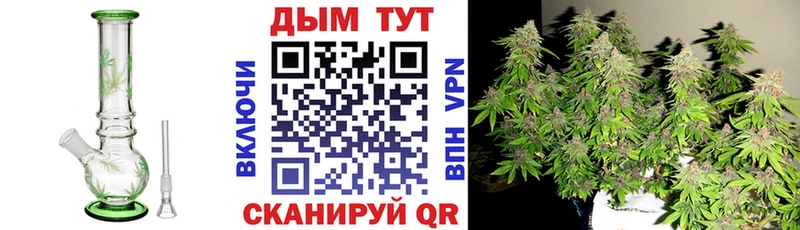 hydra как войти  Новомосковск  Марихуана White Widow  где продают наркотики 